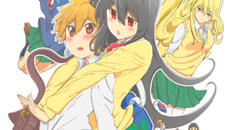 Illustration for article titled "Sister-Brother" Relationships In Anime, Rated